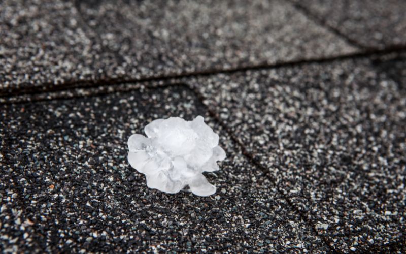 Gentle Giant Roofing of Long Beach CA (4)