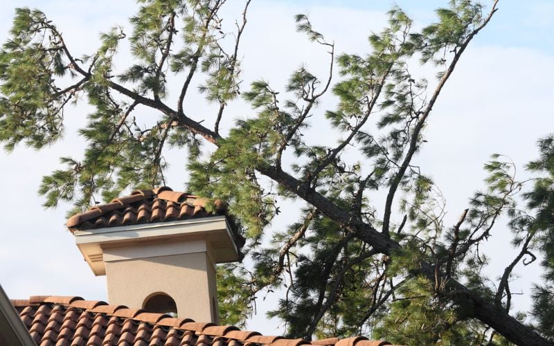 Gentle Giant Roofing of Long Beach CA (8)